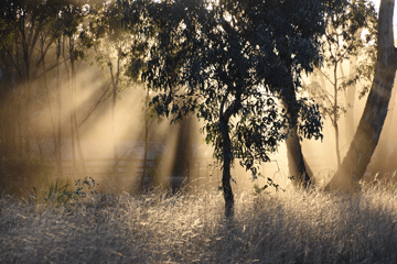 Rays of Heat by Jannine Bennett
